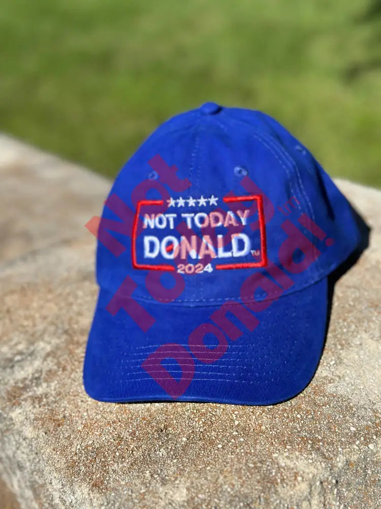 Not Today Donald Dad Hat