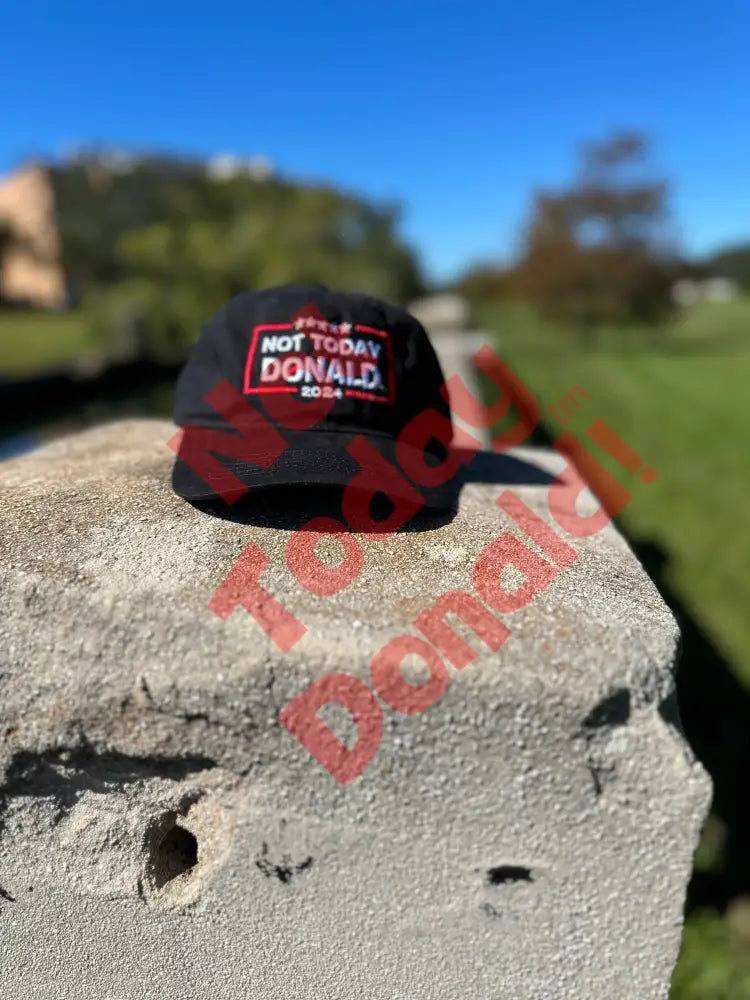 Not Today Donald Dad Hat