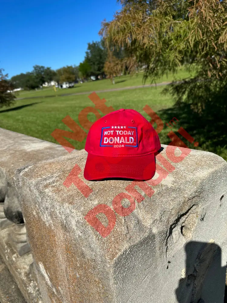 Not Today Donald Dad Hat