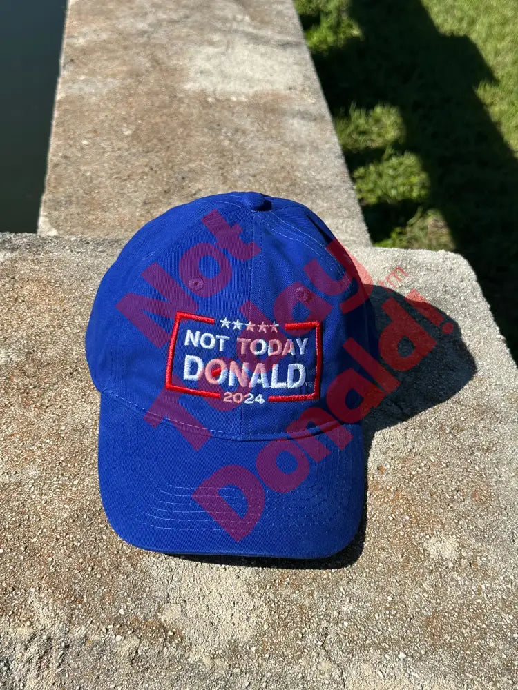 Not Today Donald Dad Hat