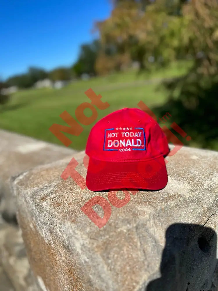 Not Today Donald Dad Hat