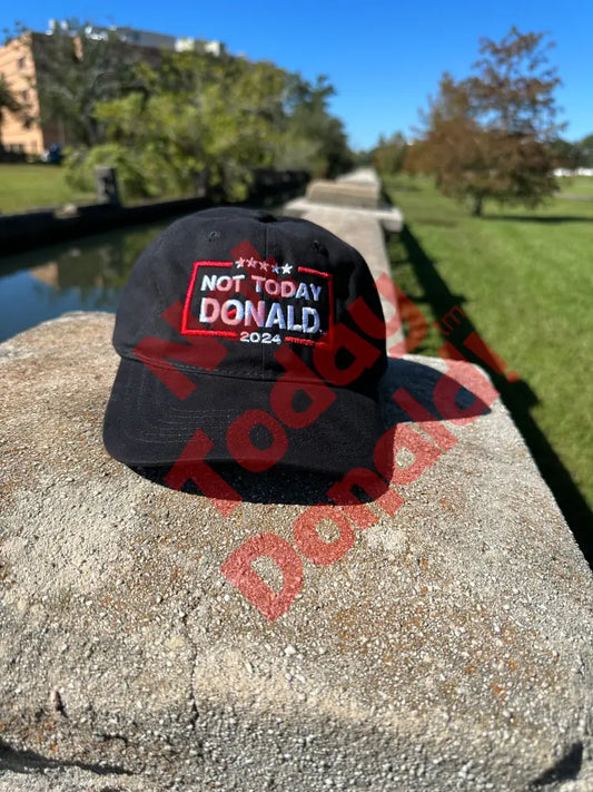 Not Today Donald Dad Hat