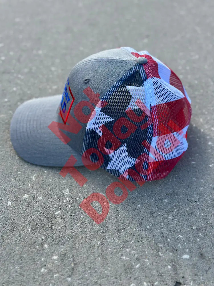 Not Today Donald Special Edition Flag Trucker Cap Hat