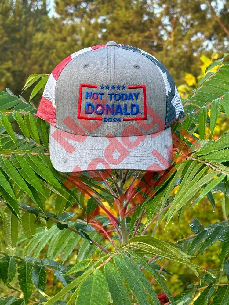 Not Today Donald Special Edition Flag Trucker Cap Hat